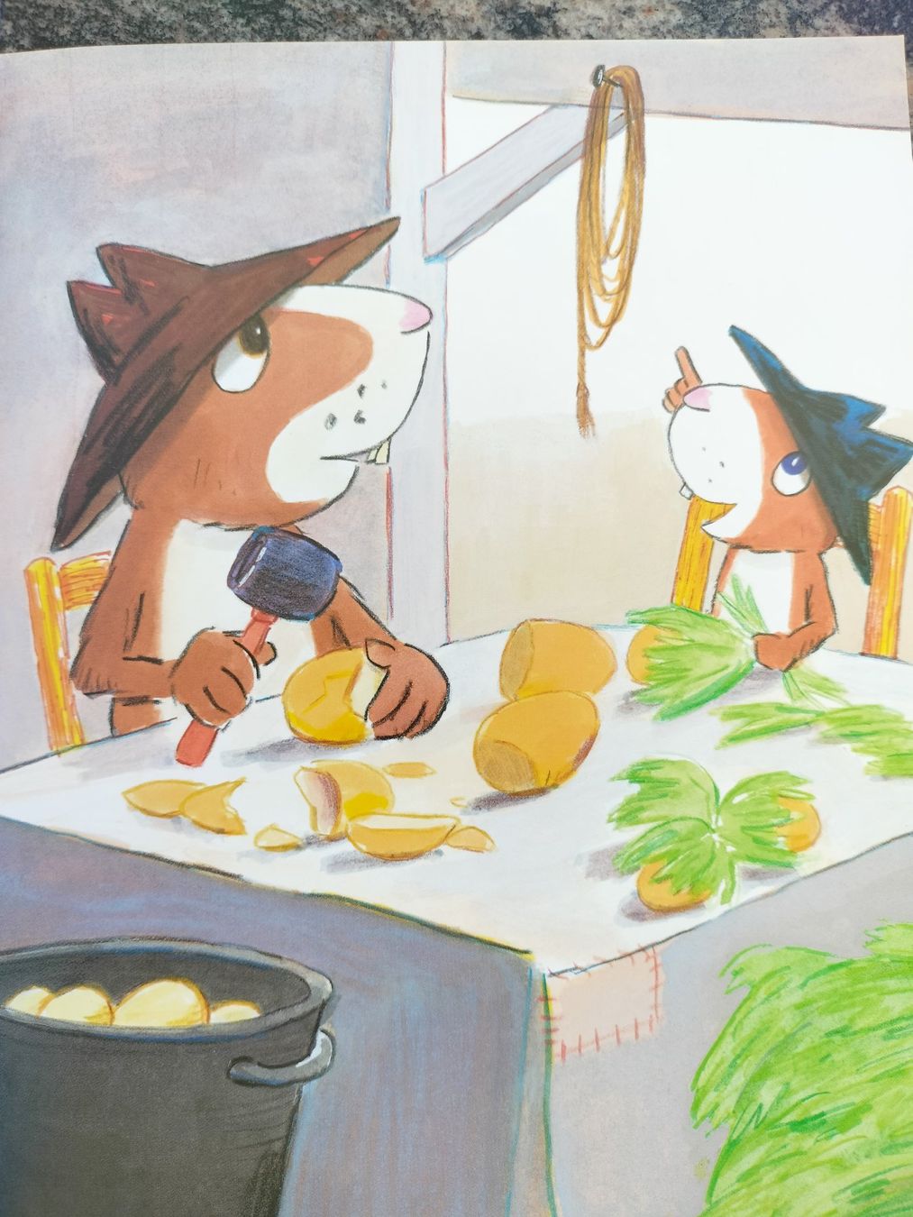 Libri: Le bison Catharina Valckx – Usato da Cortaillod venduto da rozinna 2