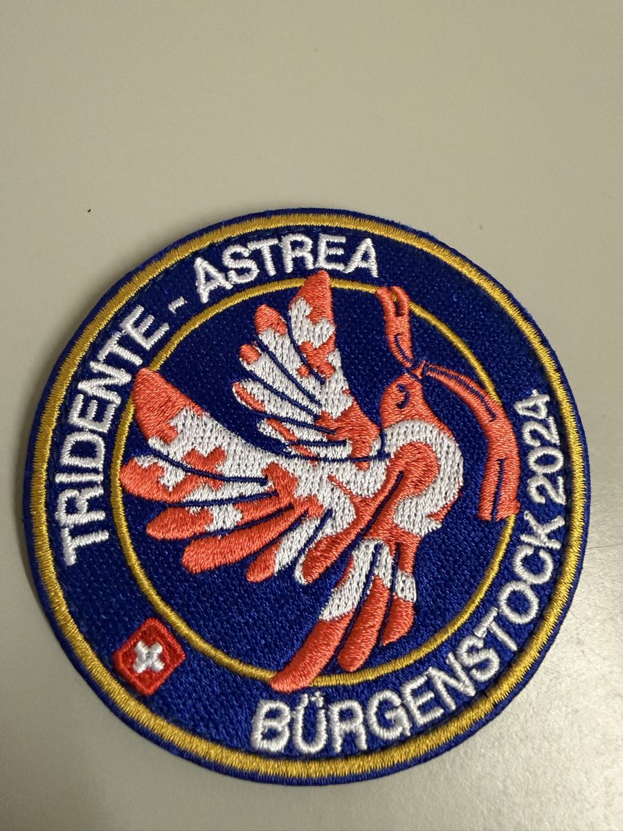 Schweizer Armee Placchette & Badge: Bürgenstock abzeichen Militär   – Nuovo (secondo la descrizione) da Zürich venduto da papaplatte 2