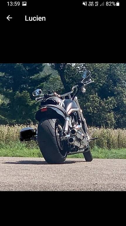 Chopper: Harley Davidson V-Rod 2008 – Usato da Therwil venduto da lucienmilliet 3