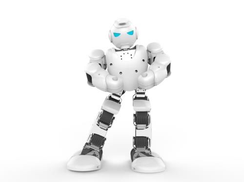Giocattoli: Alpha UBTECH 1S ROBOTICS comme neuf dans la boîte – Usato da Vessy venduto da Filippe1 7