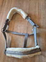 Halfter Cob Lammfell