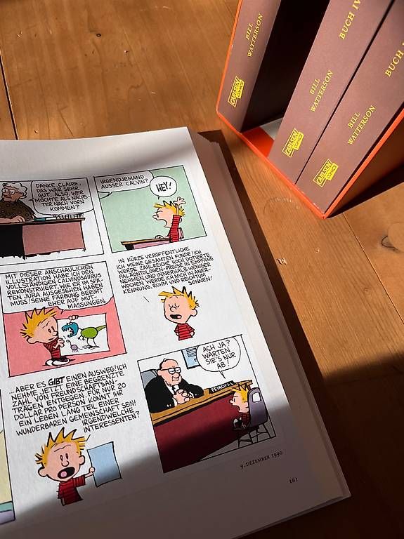 Fumetti: Calvin and Hobbes Sammlung – Usato da Altdorf UR venduto da Ingmar_Proust 3