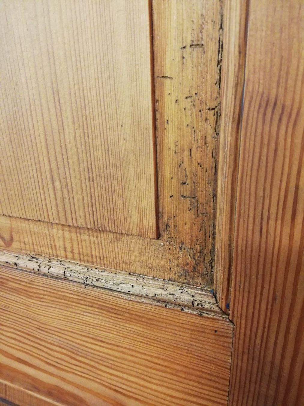 Schränke: Schrank gross alt massiv Tanne rustikal – Gebraucht aus Malters von  8