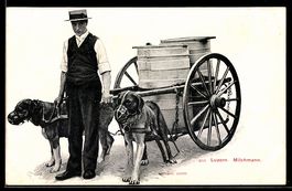 AK Luzern, Milchmann mit Hundegespann