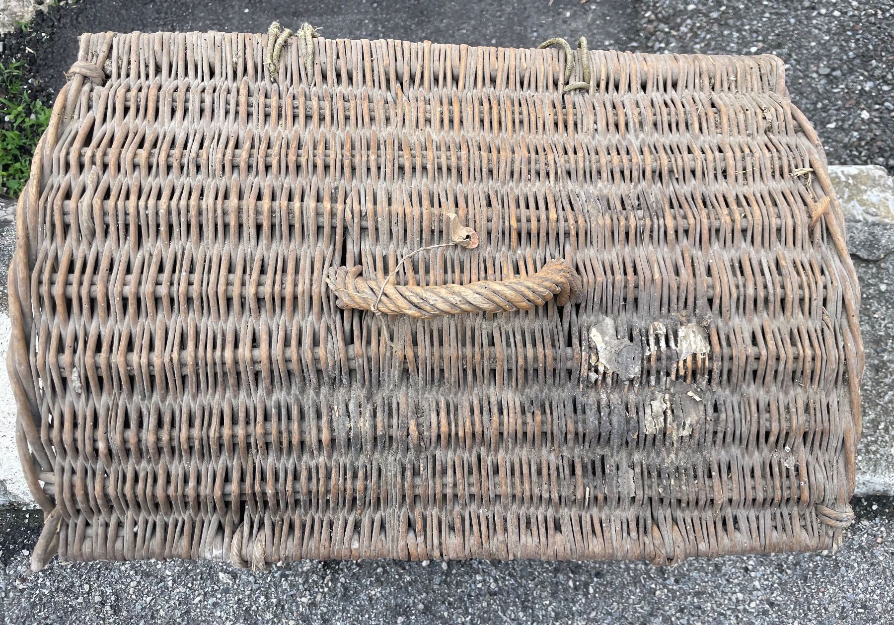 Altro per la casa: Cesta in vimini – Usato da Morbio Inferiore venduto da Ecod 5