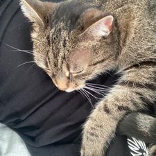 Profile image of Oscar_777