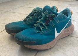 Nike Pegasus Trail 3