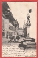 Bern - Kühe in der Altstadt - 1903