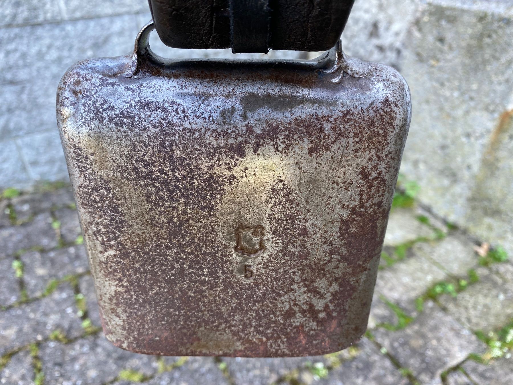Campanacci mucche: schöne Schelbert Gotthard Bisse Nr. 5 – Usato da Feldbach venduto da Fea1 4