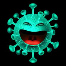 Profile image of Rollfan