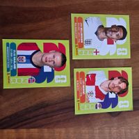 Panini Sticker alle zusammen