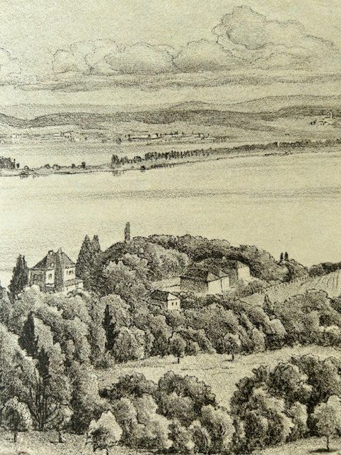 Grafica & Litografie: ✏️ Arenenberg + Salenstein Lithographie E. E. Schlatter – Usato da Ruswil venduto da Tango23 6
