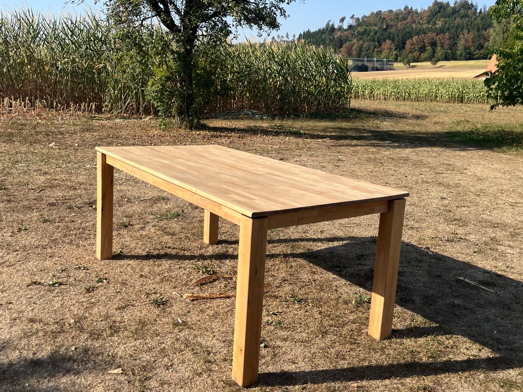 Tables: Tisch Massiv – D'occasion à Allmendingen b. BE par juair 6