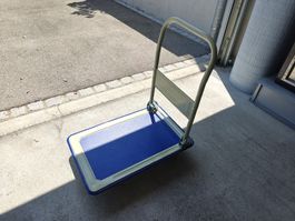 Transportwagen Wägeli Transportwägeli 150 kg
