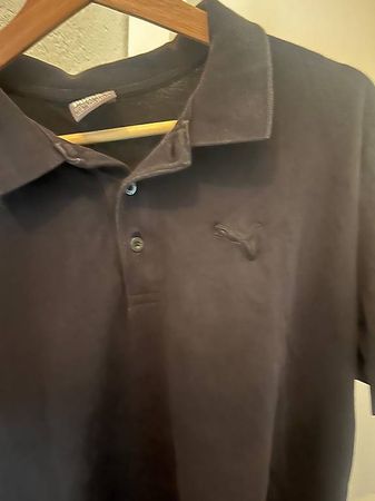Polo Puma