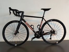Standert Kreissäge Fly Black | Grösse 56 | Shimano 105 Di2