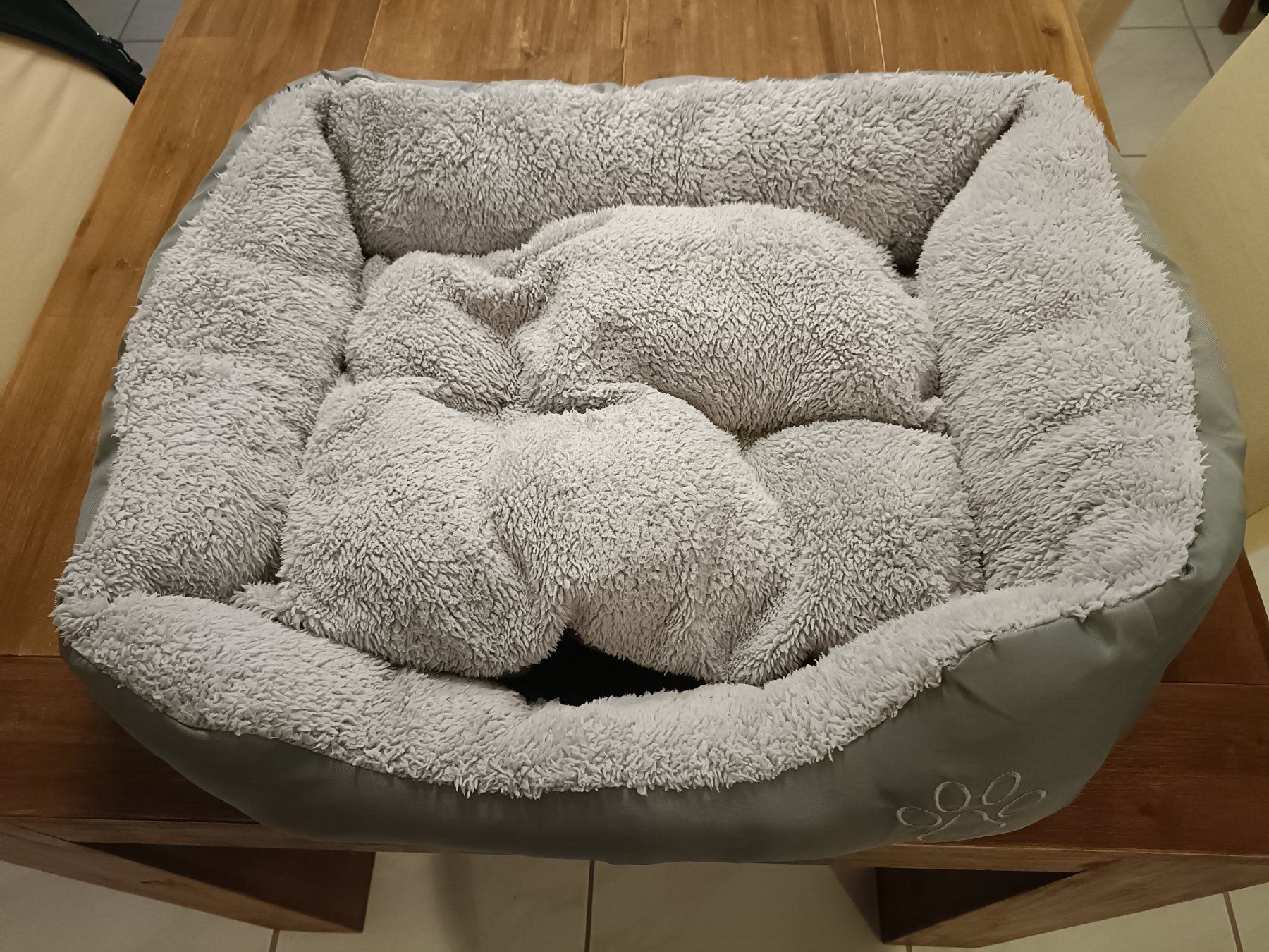 Cucce & Letti: Hundebett Grau ca. 60x55 – Usato da Niederwil AG venduto da Eksternenberg