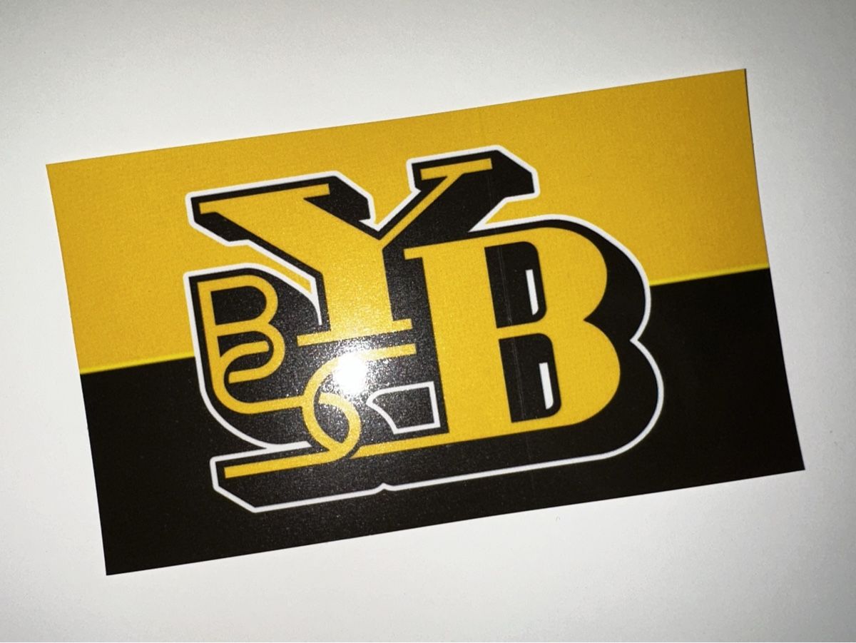 Aufkleber: BSC YB Fan Sticker 10x6 cm – Neu (gemäss Beschreibung) aus Bern von XXM38 1