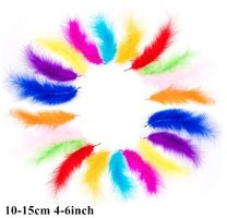 Deko Federn 052 – 10 bis 15 cm – 20 Stück