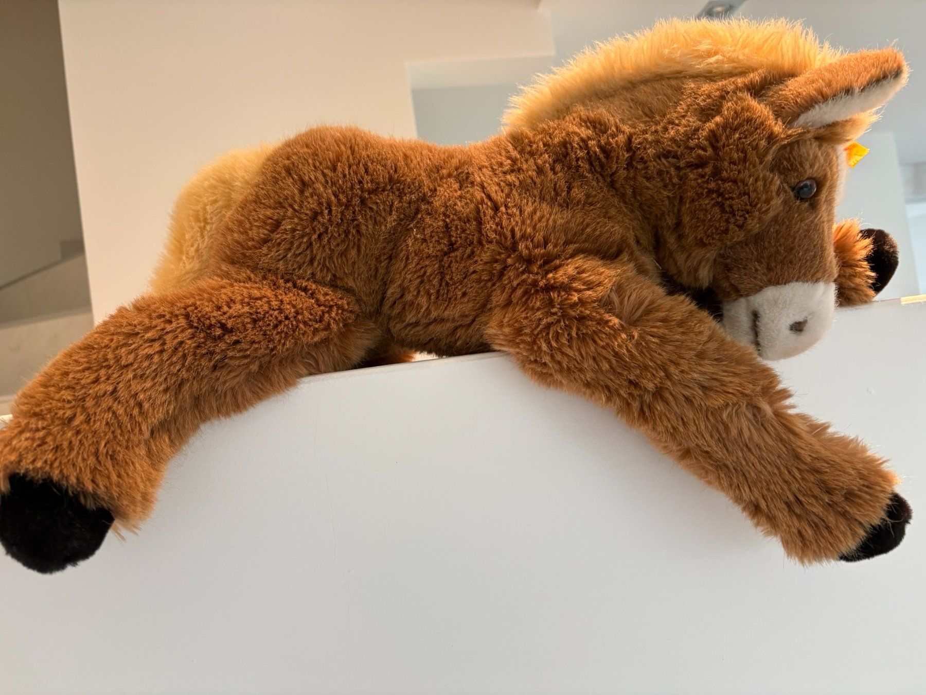 Steiff Spielzeuge: STEIFF Pony Pferd Fohlen Molly – Neu (gemäss Beschreibung) aus Egg b. Zürich von eve_h8pg 5