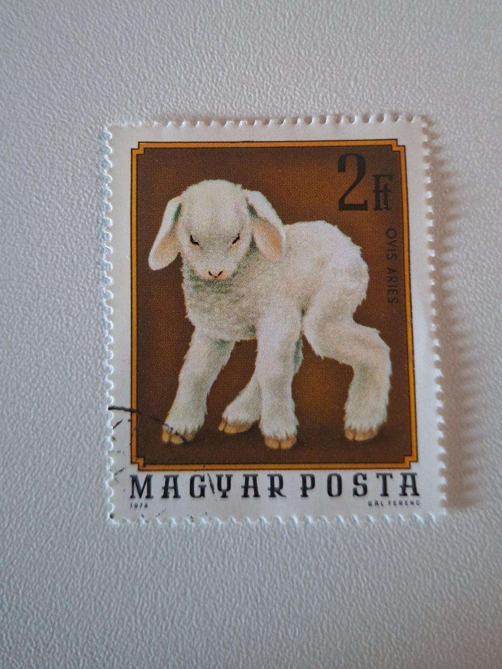 Tutti i francobolli: Alte Briefmarke Ungarn 2F Schäfchen – Usato da Erlinsbach venduto da pfunky
