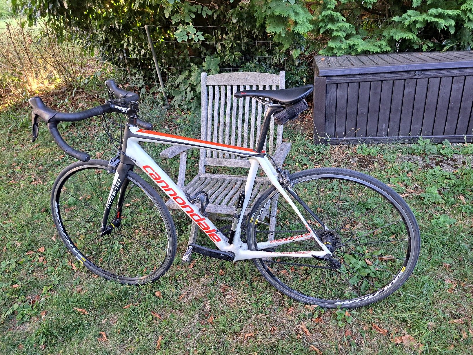 Cannondale Biciclette: Cannondale Synapse Carbon – Usato da Schaan venduto da cbinding