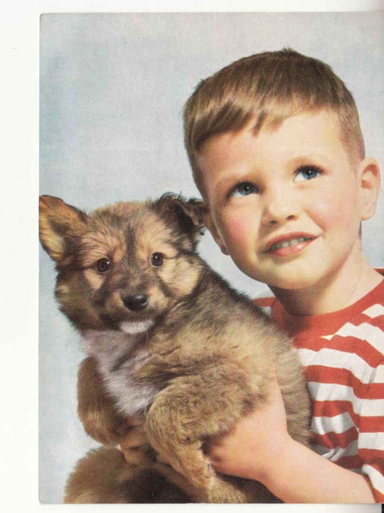 Cartoline postali: Oberwalliser Kinderhilfswerk ca. 1970 – Usato da Bürglen TG venduto da StampGraf