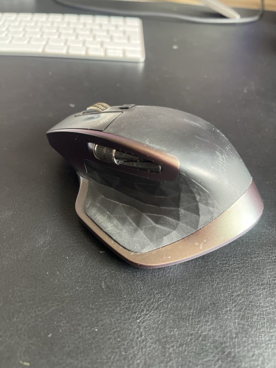 Logitech Mouse: Logitech MX Master OEM – Usato da Bern venduto da markus_1990