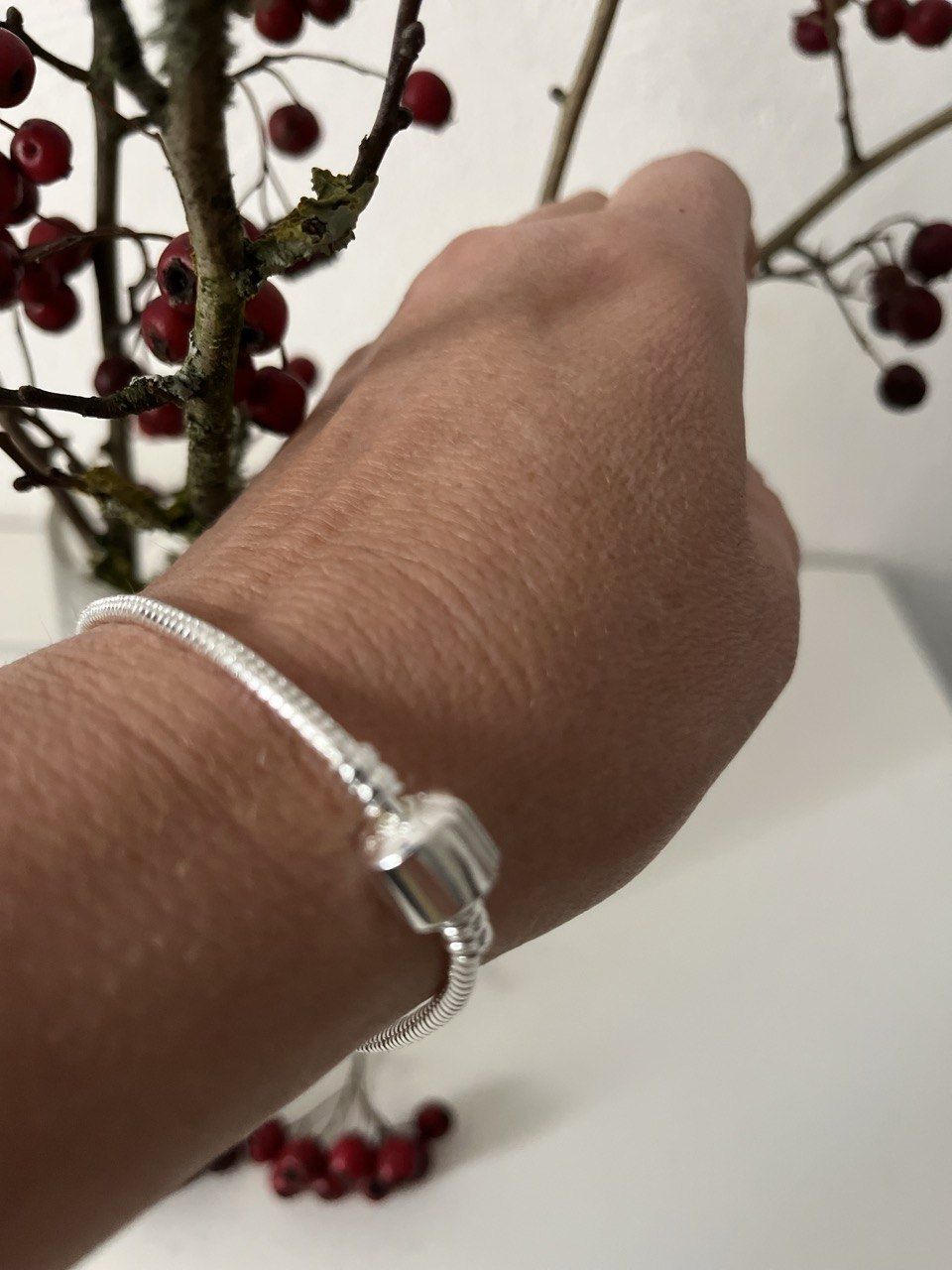 Bracciali & Braccialetti: Neues Silberarmband 20 cm, neues – Nuovo e nell'imballaggio originale da Möhlin venduto da mik_h72m 6