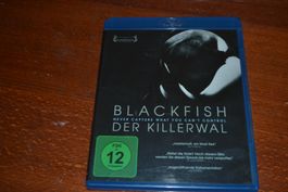 Black Fish
