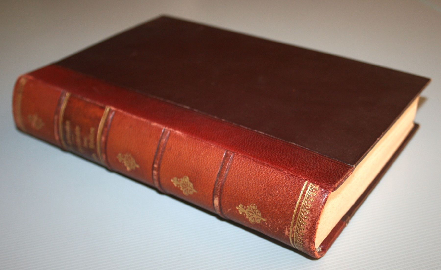 Libri: F. Heman: Geschichte des jüdischen Volkes, 1908 – Usato da Schaffhausen venduto da Kartenprofi 6