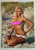 🟡 EROTIK Amateur Model Akt Nackt Foto AK 70er 80er EROTICA