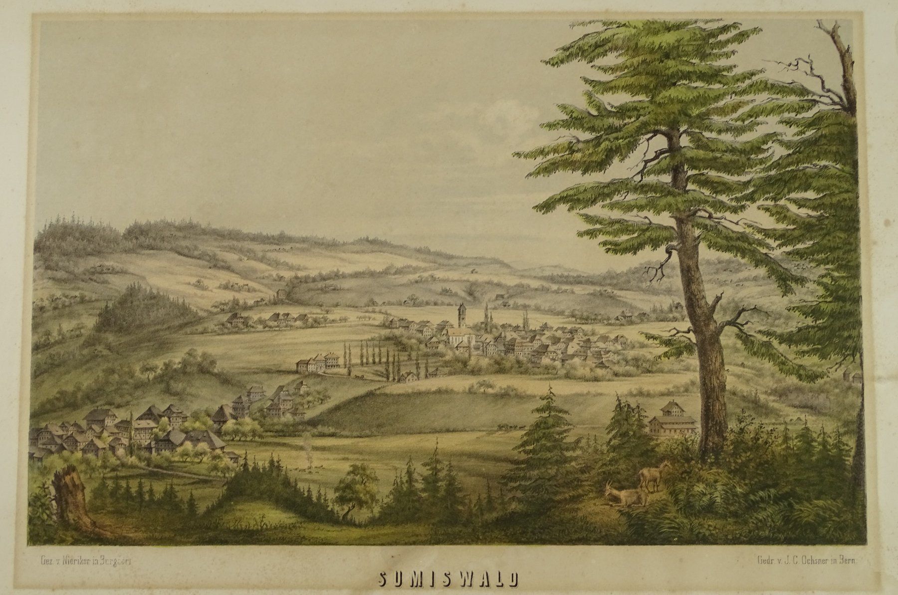 Incisioni: SUMISWALD, LITHOGRAPHIE UM 1870 – Usato da Grüningen venduto da Kartensammler