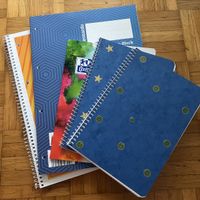 Lot de 5 cahiers - Parfait pour la rentrée scolaire!