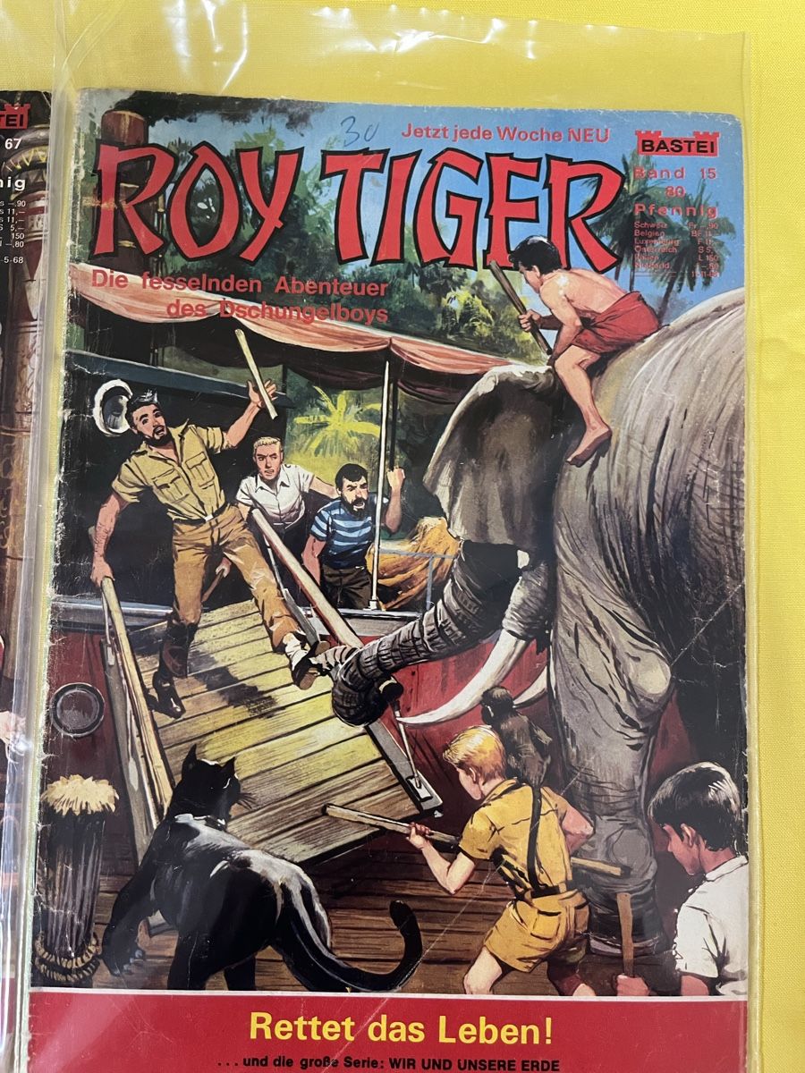 Fumetti: Konvolut Lasso Roy Tigers – Usato da Oberentfelden venduto da kar_sd97 1
