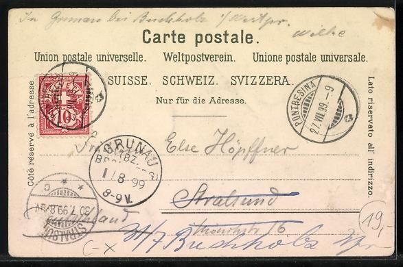 Cartoline postali: Litho Pontresina /Engadin, Panorama, Sam – Usato da Berlin venduto da bartko-reher 1