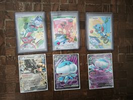 Pokémon First partners EN Bulbasaur - Charmander - Squirtle