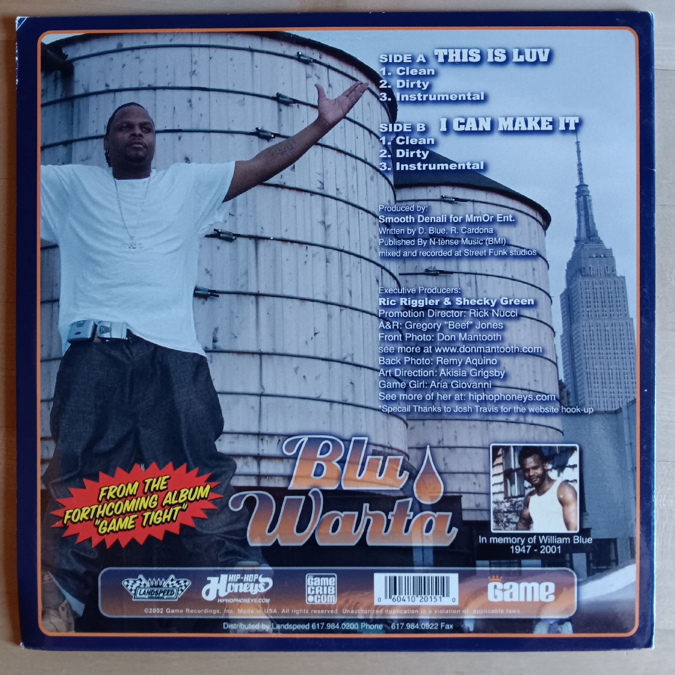 Dischi in vinile: Blu Warta Vinyl This Is Luv US 2002 – Usato da Chur venduto da chr_b2cn 1