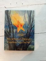 Wo schlafed d’Stärne? Guetnachtgschichte-Buch