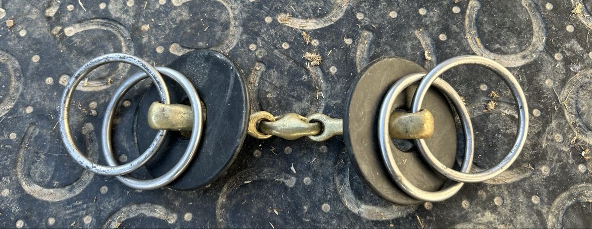 Briglie & Cavezze: Vier Ring Trense – Usato da Altstätten SG venduto da Kamigo