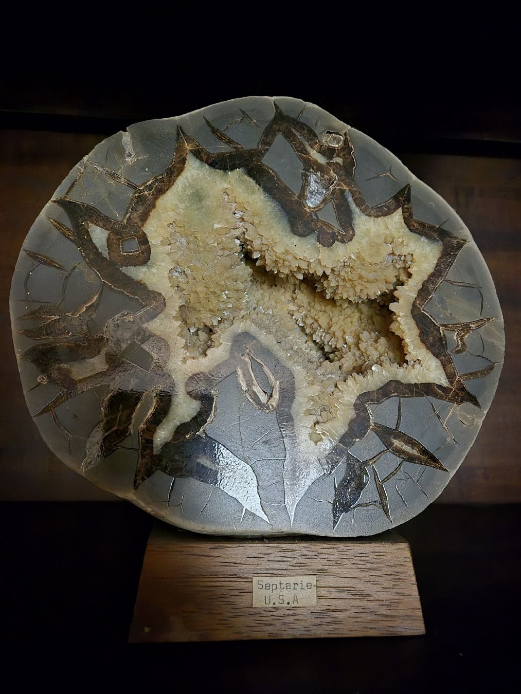 Minerali & Pietre curative: Septarie Stein USA – Usato da Luzern venduto da King_anubis
