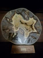 Septarie Stein USA