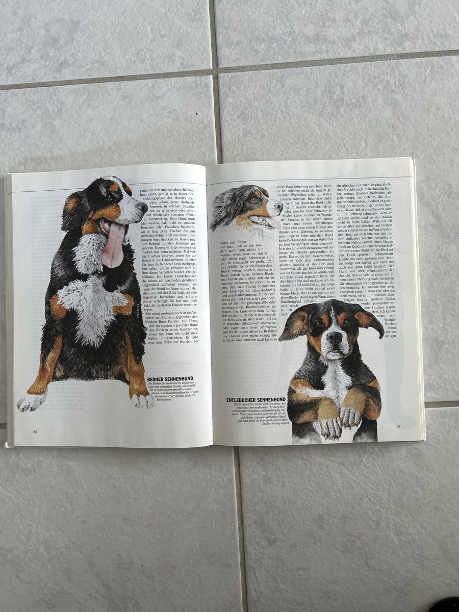 Libri: Buch Hund – Usato da Lostorf venduto da Venice16 1