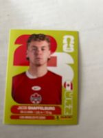 Panini World Cup 2026