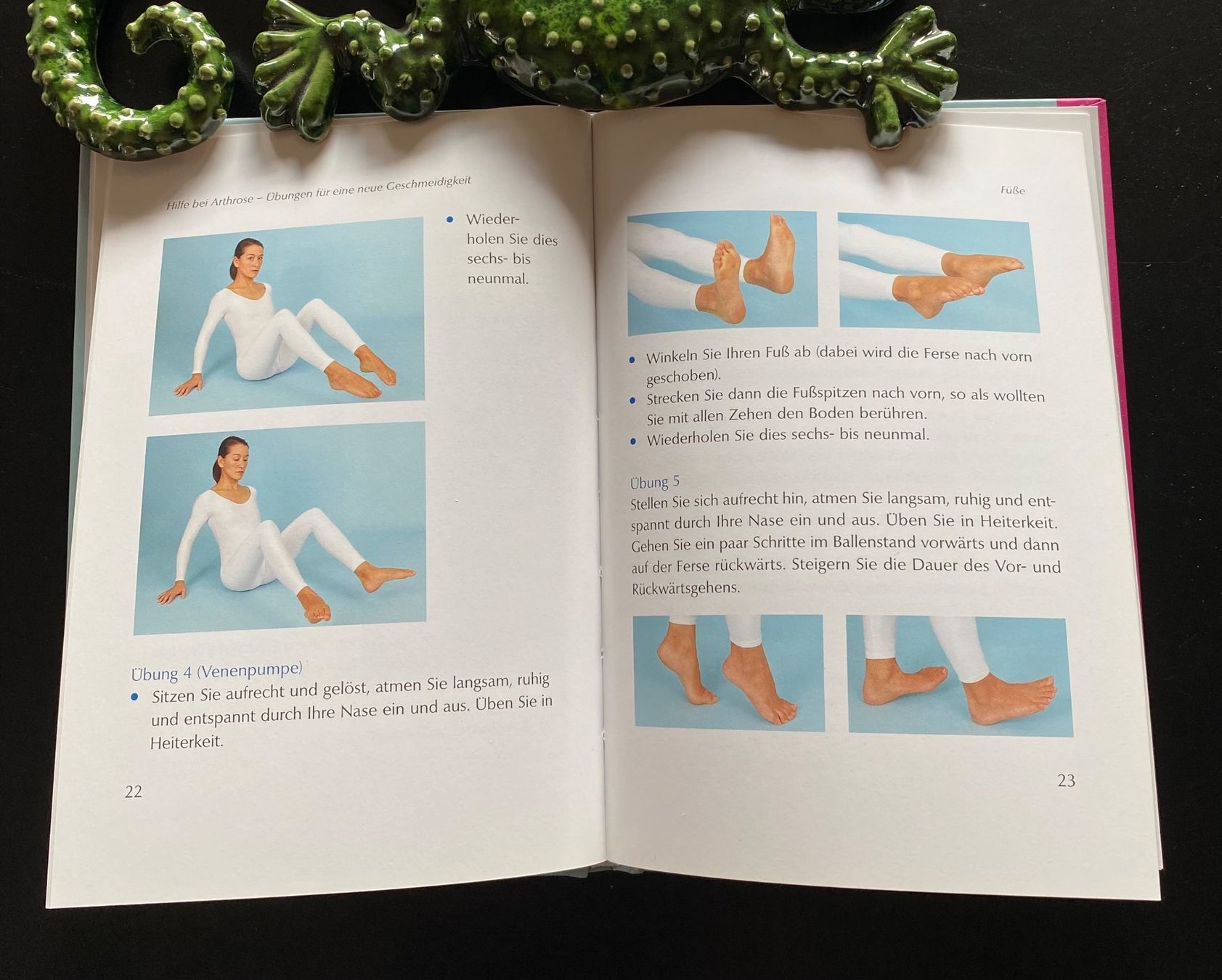 Libri: Hilfe bei Arthrose – Usato da Nussbaumen AG venduto da schuba2000 4