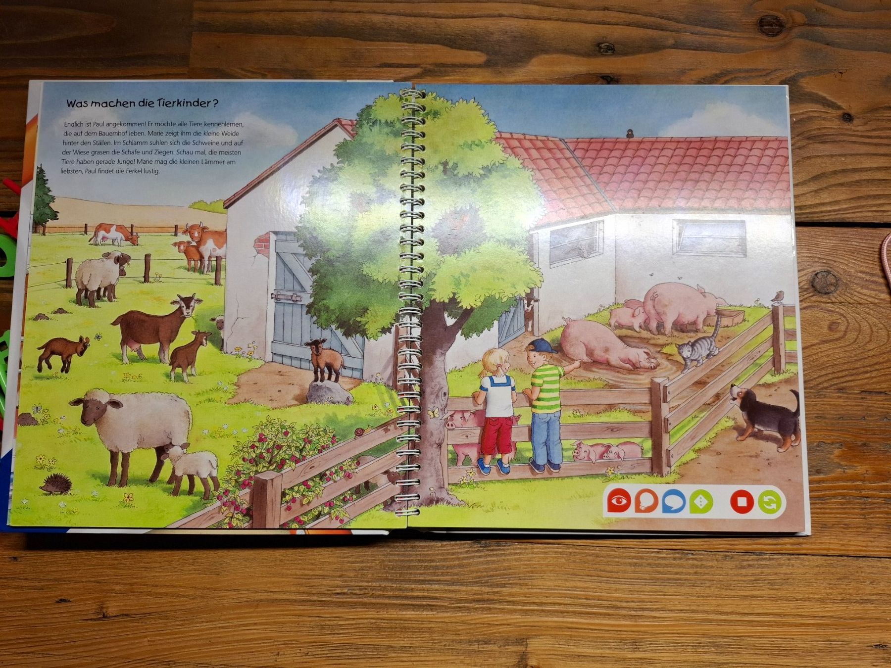 Libri: Tiptoi buch Bauernhof – Usato da Brunnen venduto da PatrickAndrea 1