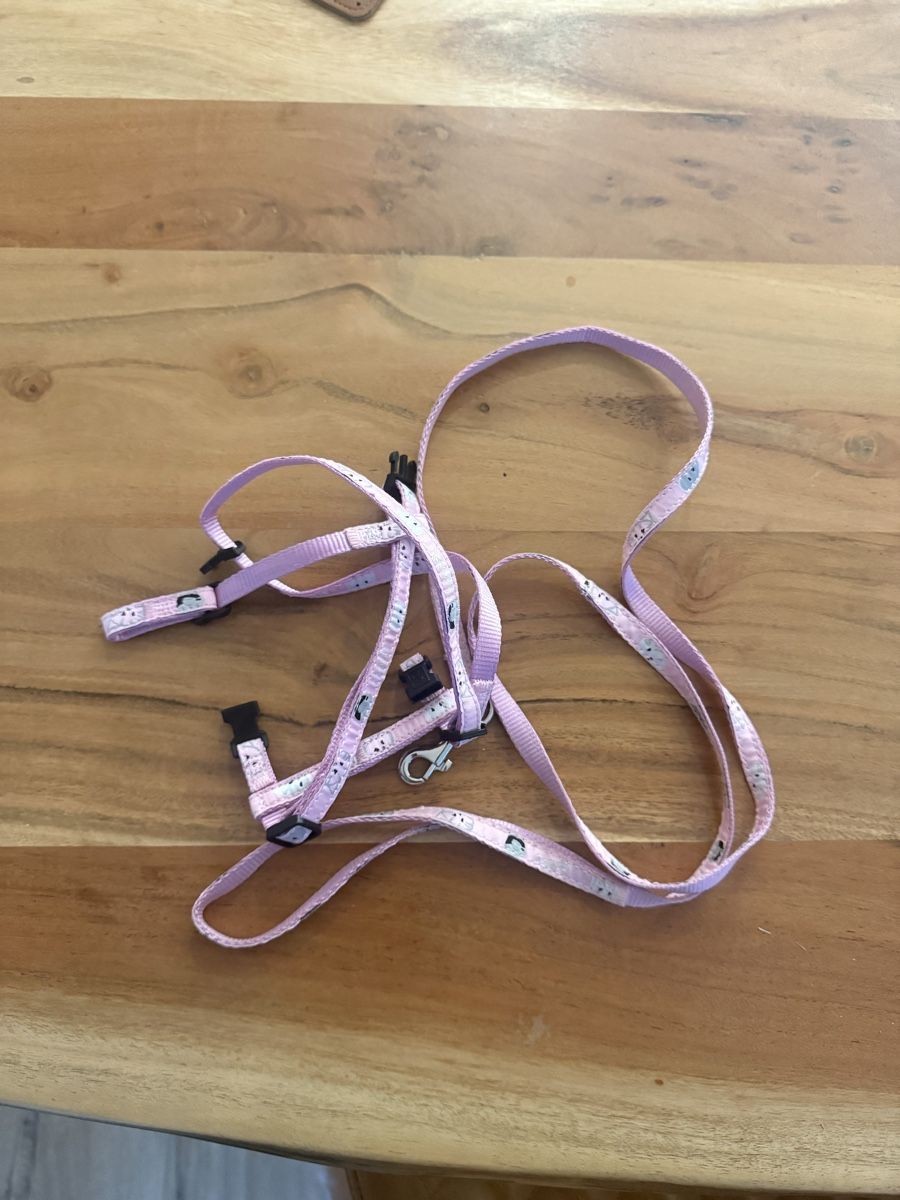 Collier et laisse: Hunde/katze leine – D'occasion à Amriswil par FitmentCompany