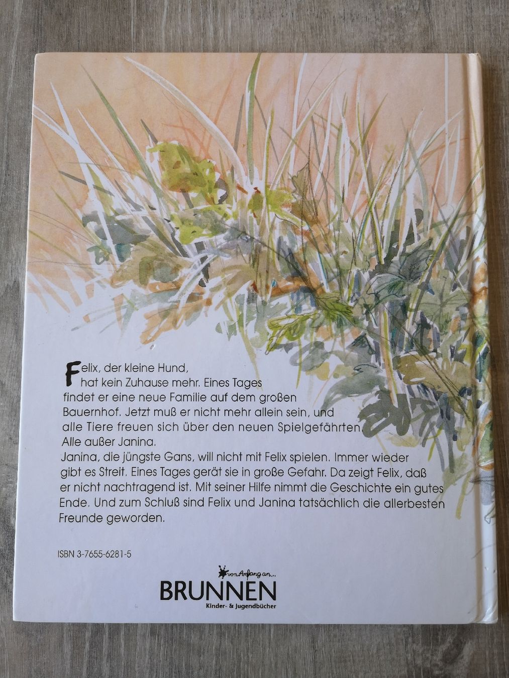 Libri: Felix und Janina Bilderbuch – Usato da Vordemwald venduto da Esel04 1
