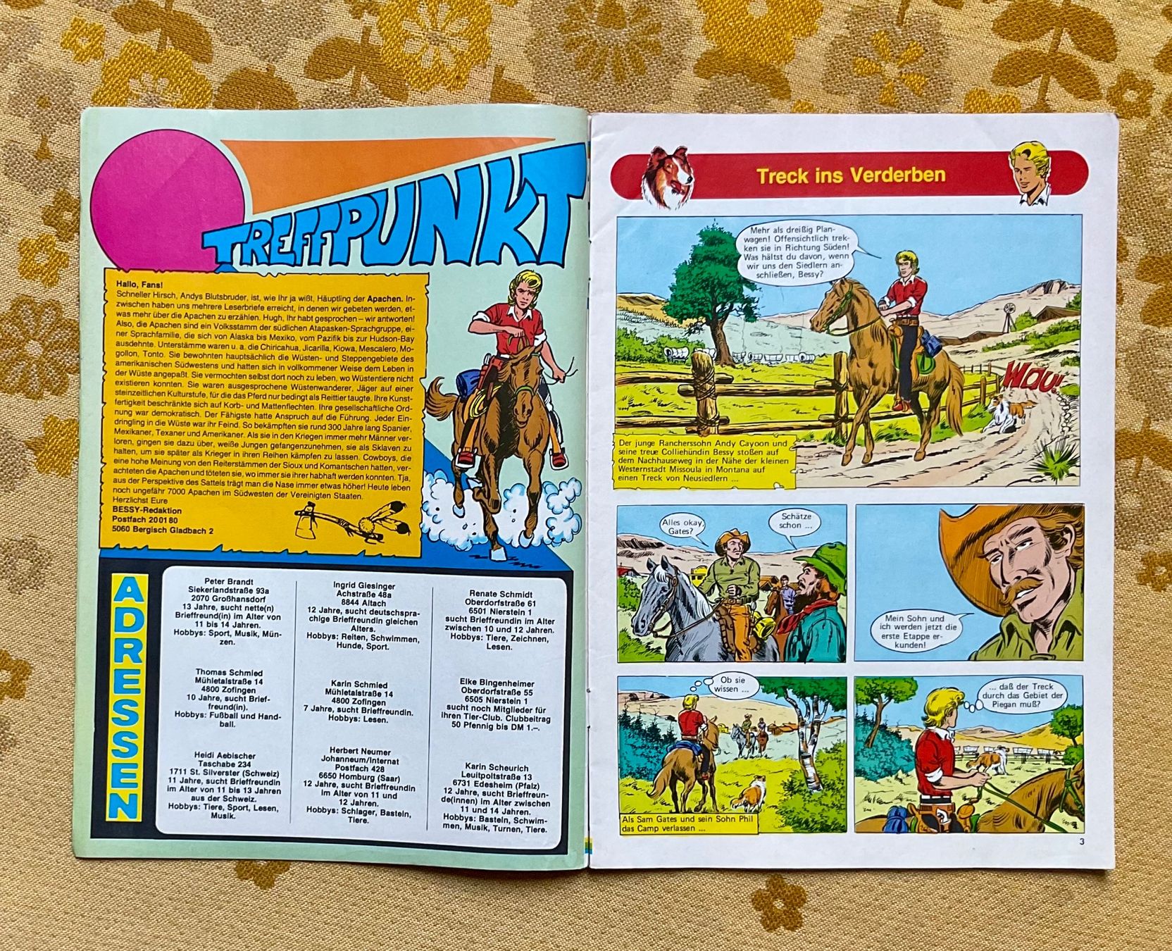 Comics: Bessy Heft Nr 613 von 1978 ? – Gebraucht aus Endingen von nathan05 1