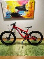 Pivot Firebird